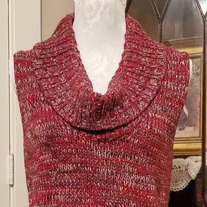 Express Sleeves Cow Neck Sweater